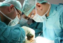 Surgeon to perform head transplant to find out if there is life after death