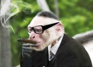 Who is behind the closure of Dnevnik?