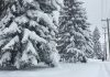 Record snowfall in Calgary Alberta