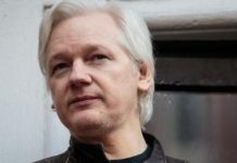 Julian Assange is Finally Free