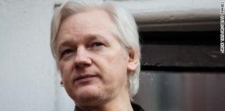 Julian Assange is Finally Free