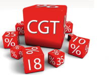 Finance Minister Nina Grouper Angelovska unsure as businesses ask for delay of Capital Gains Tax