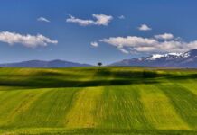 Levica: SDSM Criminals are destroying the most fertile land in Ovce Pole for Solar Park
