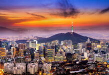 Halloween stampede leaves 149 dead in Seoul