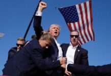 US Elections: Republicans Sweep Presidency, Senate, Congress