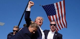 US Elections: Republicans Sweep Presidency, Senate, Congress